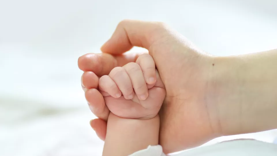 Barn håller förälders hand